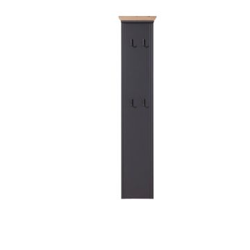 PANOU CUIER 41/195/9 cm